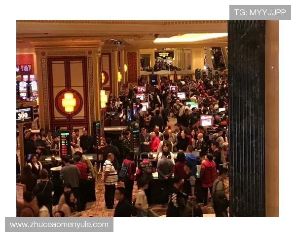 澳门赌城网址安全登录攻略，确保个人信息安全高效进行线上投注